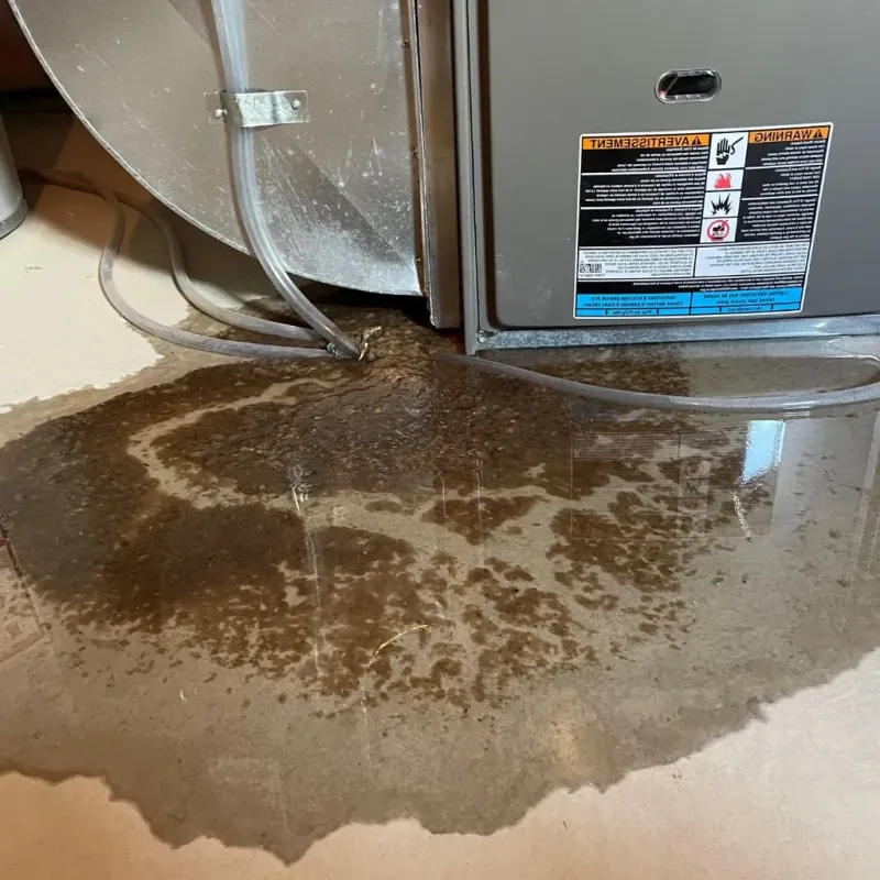Pipe Burst and Leak Restoration in Oak Hill, VA